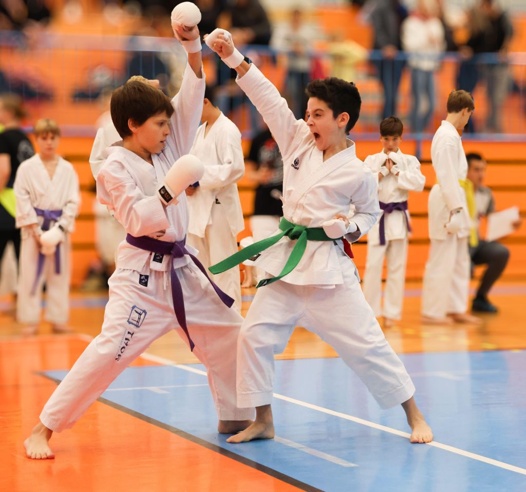 karate0003